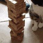 Video games are great, but sometimes it's nice to unplug and play a game of Jenga with your cat