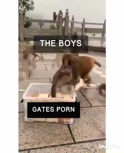 Gates’ original model was much secksier 😛😛🥵