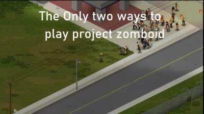 There are only two ways you play project zomboid, there is nothing in between