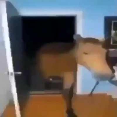 چرا جواب نمیدی