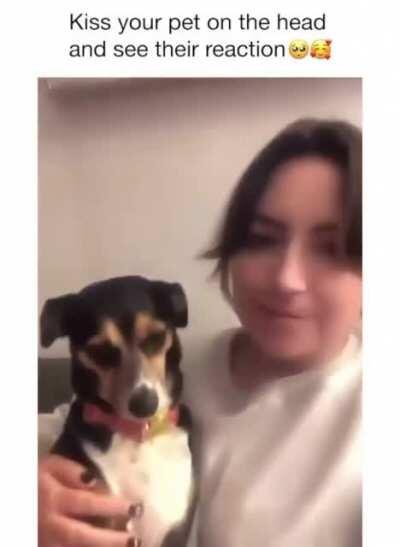 You’re my true love