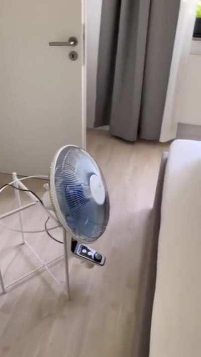 Good girl is chilling in her cooling hut