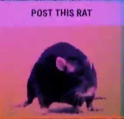 Me when I kill a chad with my ap-20 fraud cannon