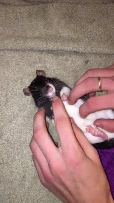 Must…resist…lovin’s…