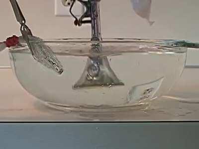 Bicycle Horn Under Water 2011