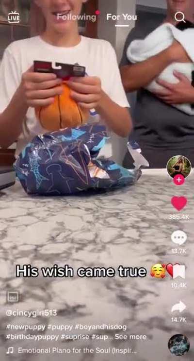 You already know that dog is going to be loved