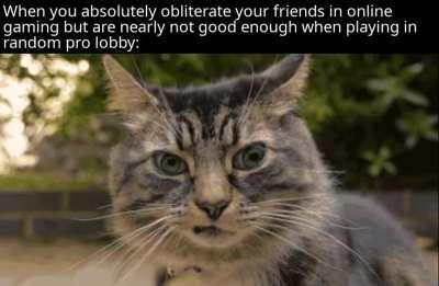 *chuckles* I'm in danger