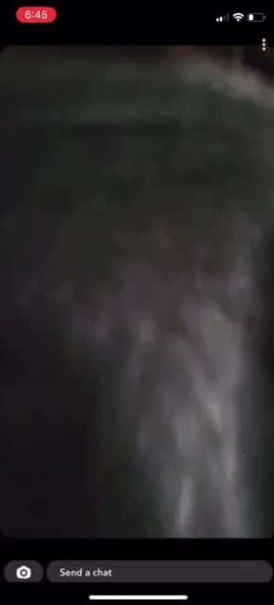 Whore4kuromi bouncing