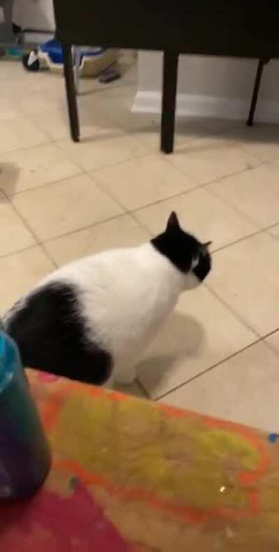 Got em with the slipper slide