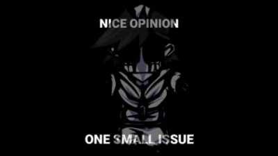 Nice opinion, one small issue.