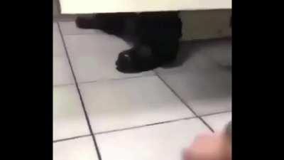 happens to the best of us