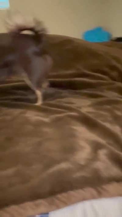 Older video, friend said to post it. Enjoy.