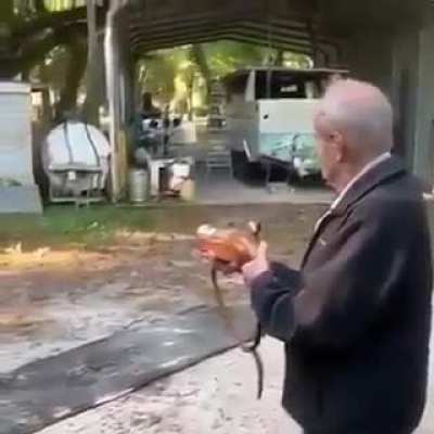 It's all fun and games until someone loses an eye