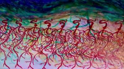 What are your thoughts on this animated sequence?