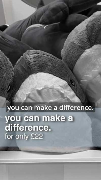 adopt a shonk, save a life!