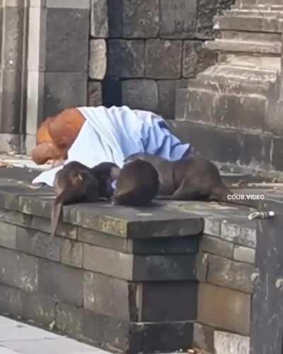 let me sleep in peace