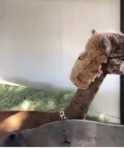 Lamar's new Oakley commercial