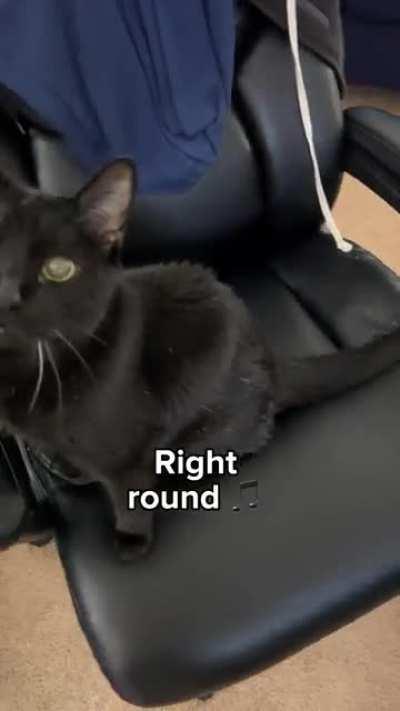 You spin me right round baby 😺🎵