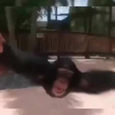 hehe do it dare you😂😂😂(holsum 100)