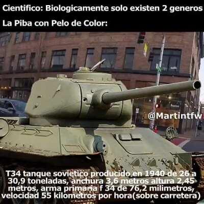 Quién más de acá es un tanque soviético?