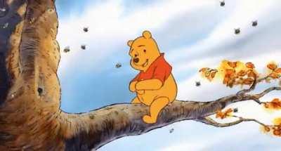 Edited Footage of a Bear