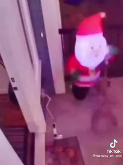 gayspiderbrothel - Video #2859