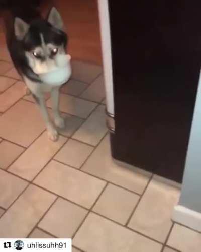 Careful what you ask for