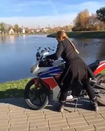 Trying to get the best view on those ducks