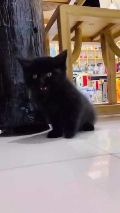 The hell just happened?