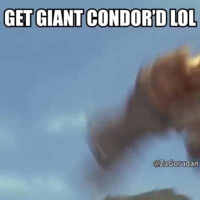 get condor'd lol