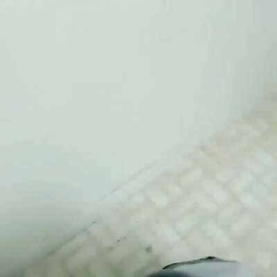 EL FAGCHAT CUANDO TIMI PONE UN TEMON