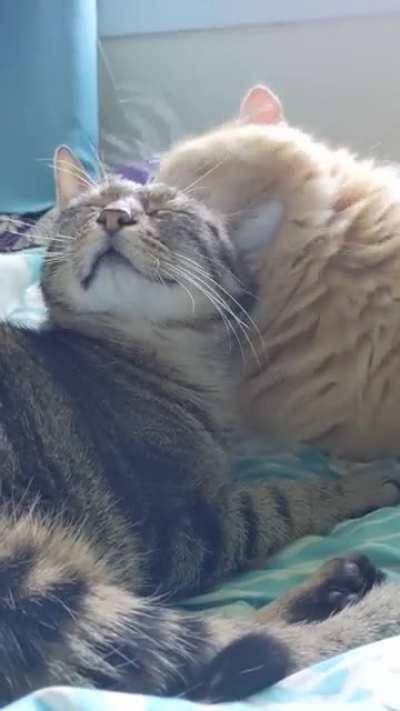 The look of pure ecstasy