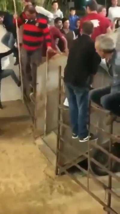 Don't touch the bull 