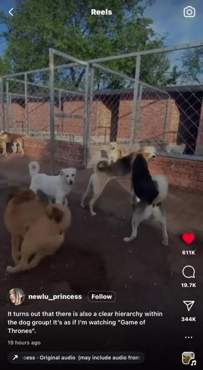 Amazed at how chill the boss is