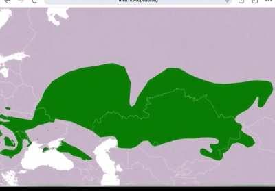 It all makes sense now..