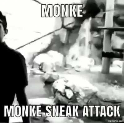Sneaky monke🙊🙈🙈