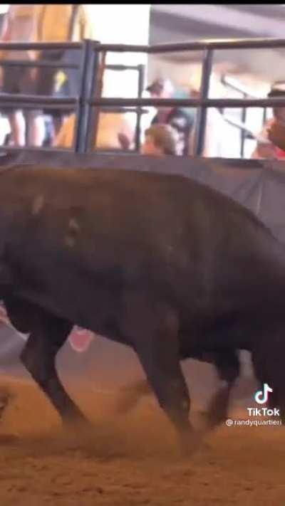 Randy flipping over a Bull