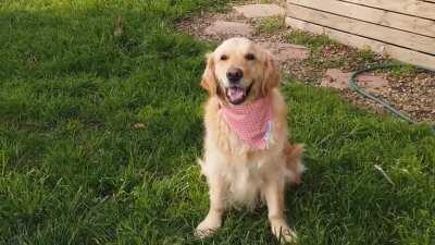 I borrowed the camera from my work to do a glam video of my dog