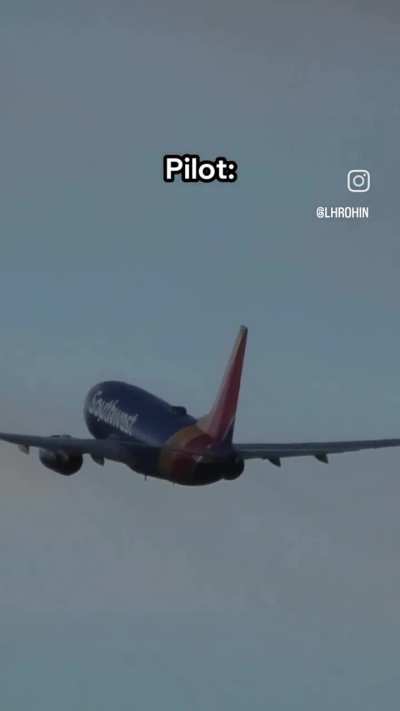 How many flight attendants have you pylotes slept with?