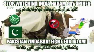 PAKISTAN IS DESTROY GAY SPIDER HARAM HOMOTEL پاکستان میں اسپائیڈر حرام ہوٹل کو تباہ کر رہا ہے
