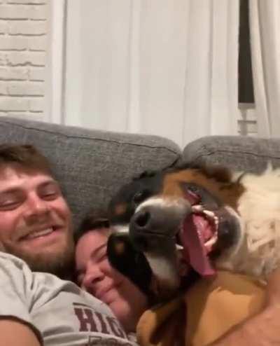 Here's something to brighten up your day