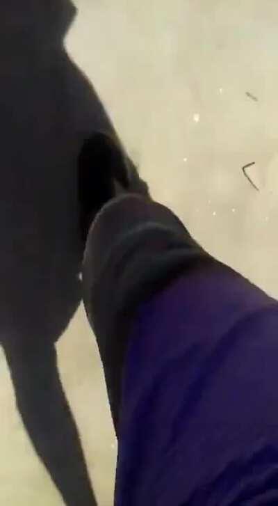 Afinal, quem sou eu ? Apenas um cara fazendo graça ? Não. Um mero ser postando shitpost ? Não. Oque sou eu ? Eu não faço ideia, quem quer que seja eu é só alguém que renasceu. Você já renasceu ? Quem é você?