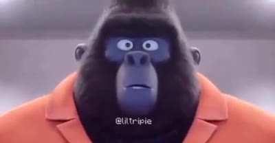 Anyone remember that movie sing?