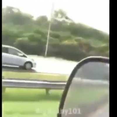 Orochisegundo - Video #4956