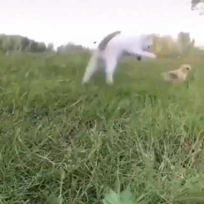 Штрашный жверь