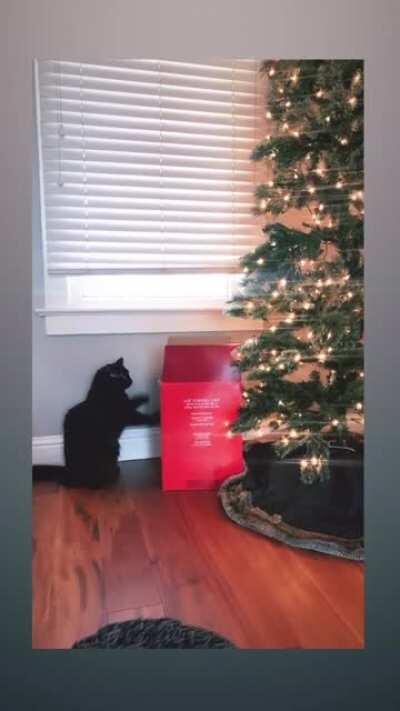 Does he love or hate the holidays?