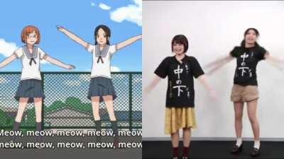 Mananachio comparison