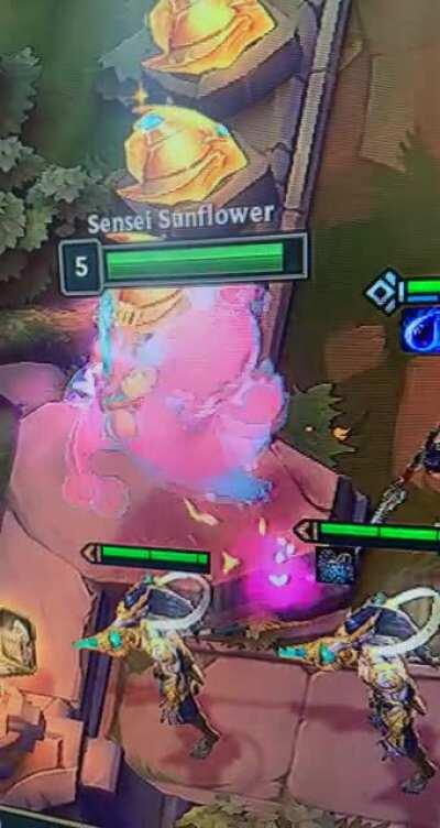 Chonccsta’s Paradise