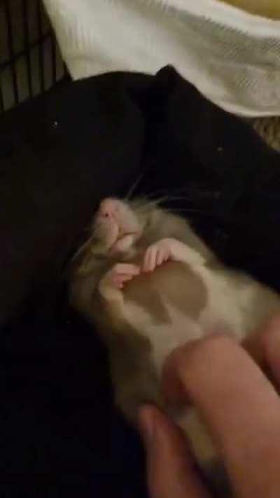 Arthur is having a no bones life