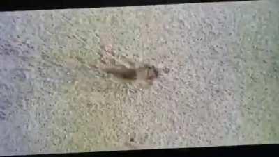 Title ke liye ishara hi kaafi hai